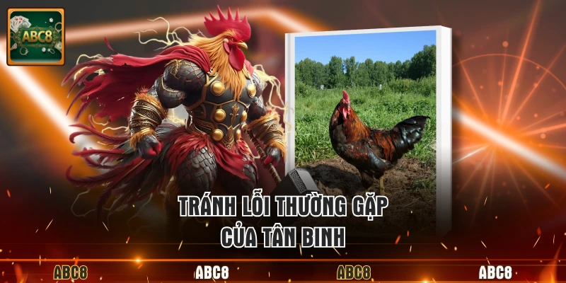 Tránh lỗi thường gặp của tân binh
